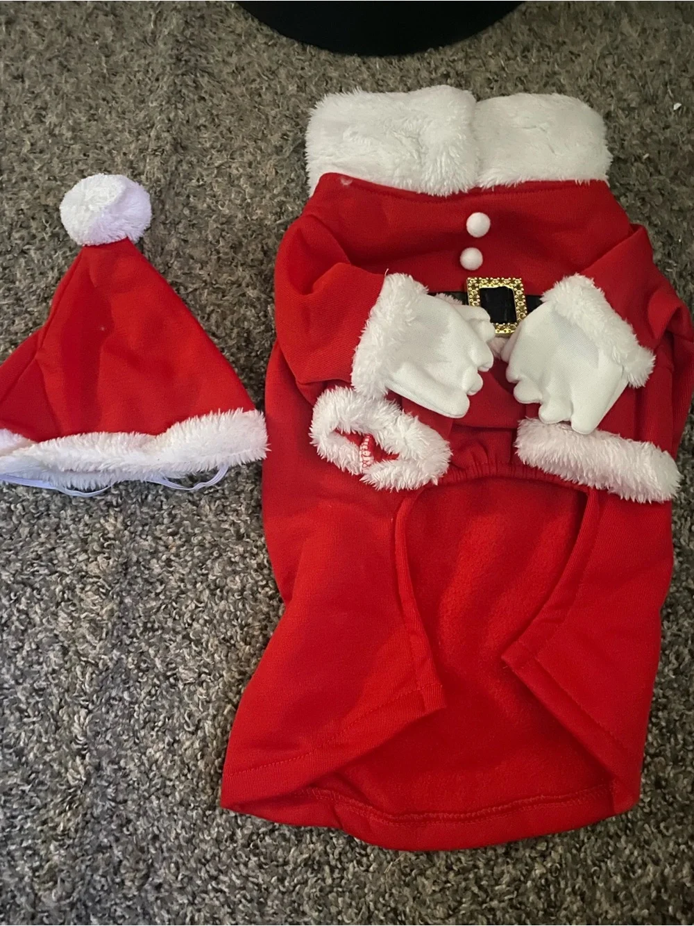 Pet Christmas costume puppy - Santa clause